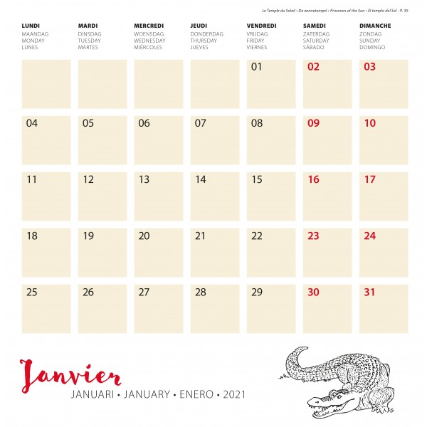 Calendrier Tintin 2021 – Image 4
