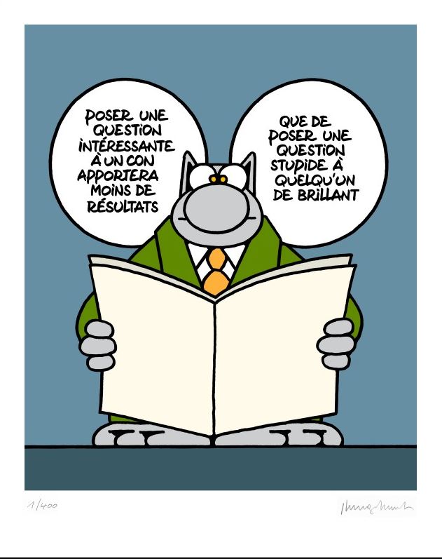 Le Chat de Geluck - La bonne Question - Serigraphie Signée et limitée