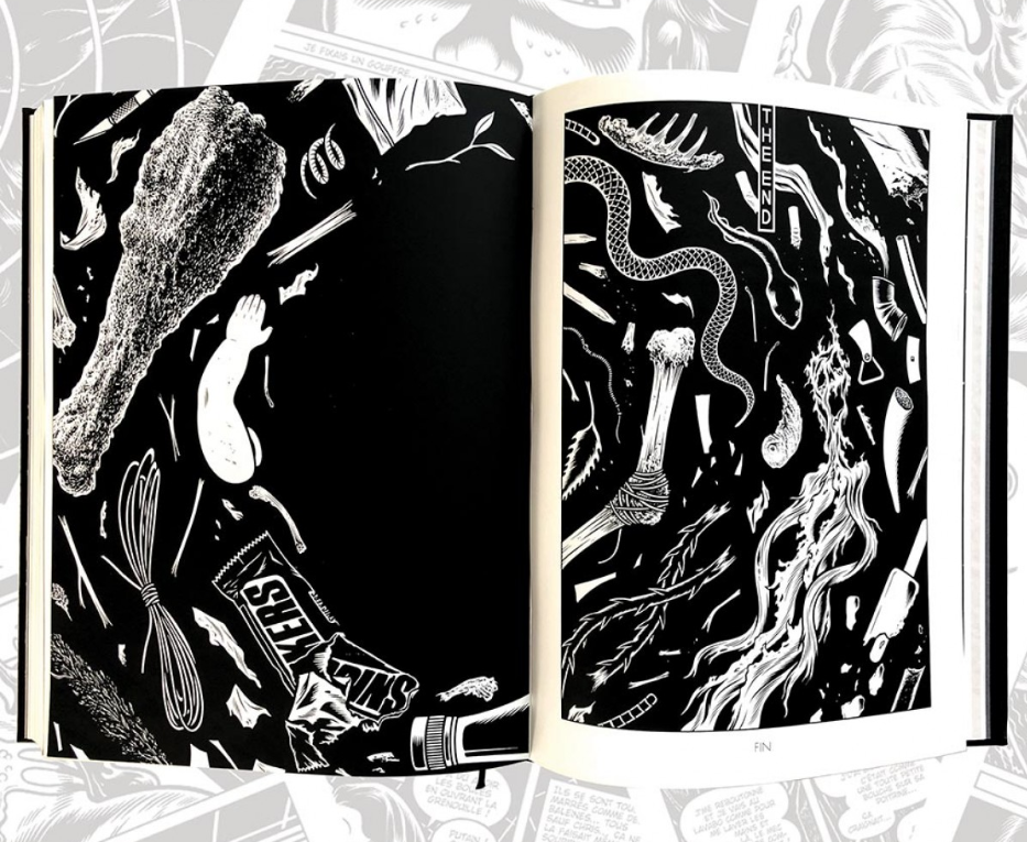 Blackhole - Edition Prestige - Luxe - Signée Charles Burns - 100 ex ! – Image 5