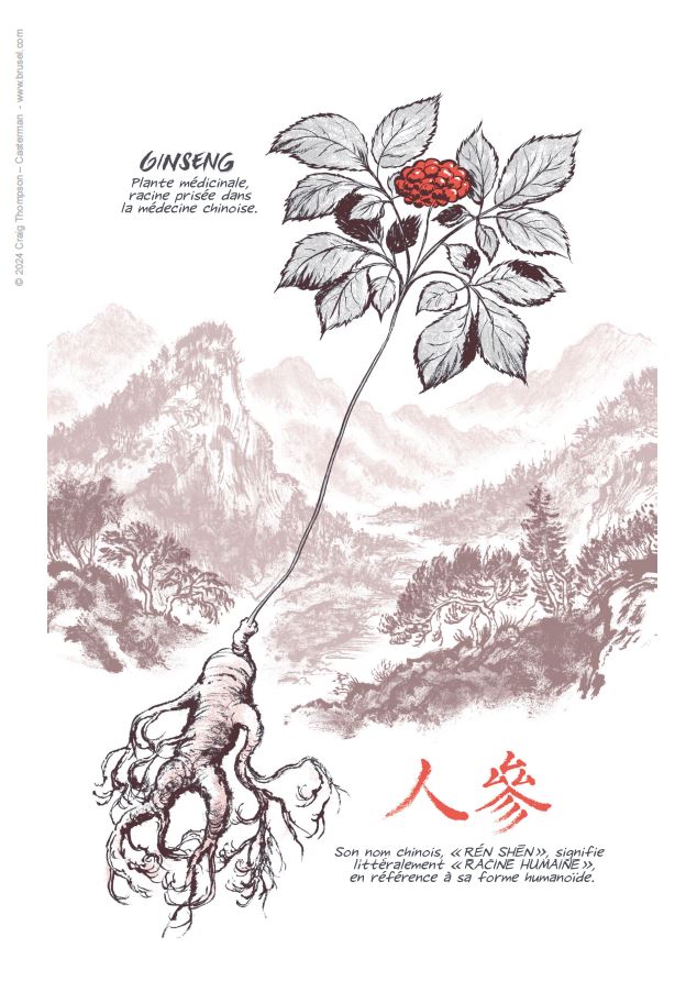 "Ginseng roots" de Craig Thompson + ex-libris signé offert – Image 2